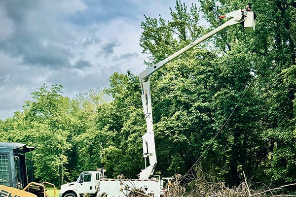 Residential Tree Trimming Services