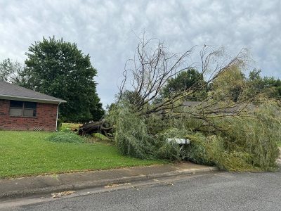 Emergency Tree Removal Services