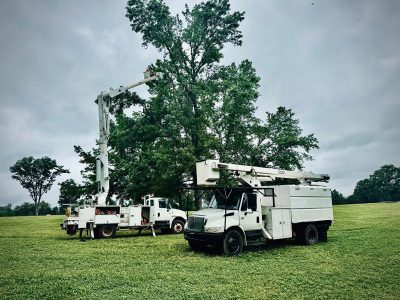 Residential and Commercial Tree Trimming