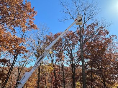 Top Notch Arborist