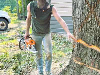 Tree Removal Expert
