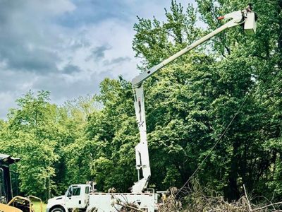 Residential Tree Trimming Services